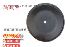 点击查看详细信息<br>标题：气动隔膜泵配件-隔膜片 阅读次数：160